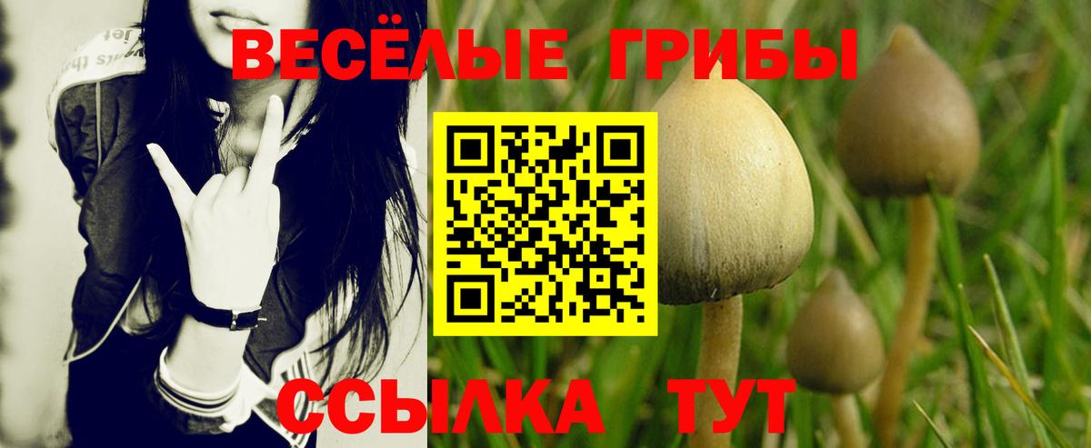 Псилоцибиновые грибы мицелий  Вход с VPN  Волжский 